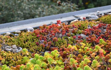 the cost of Moor End Field green roof installation